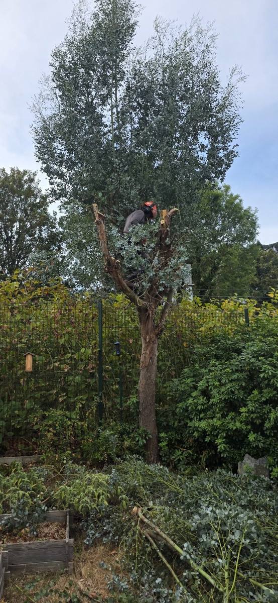 Avant — Entretien d'espaces verts