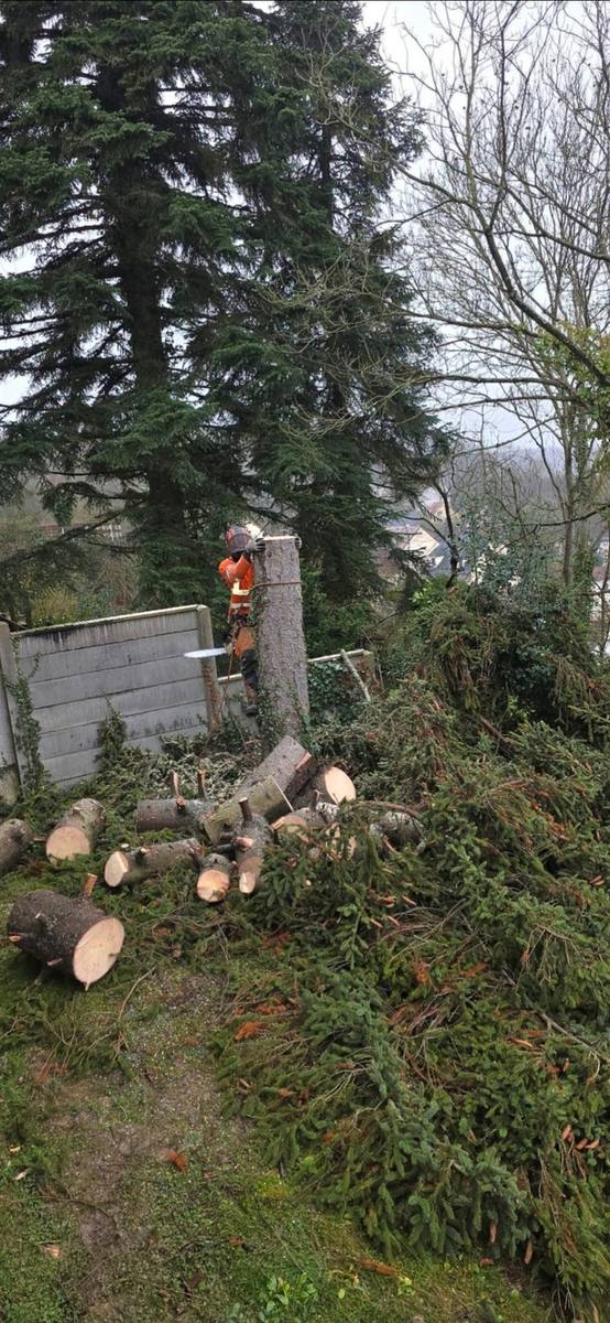 Réalisation : Travail sur corde en hauteur