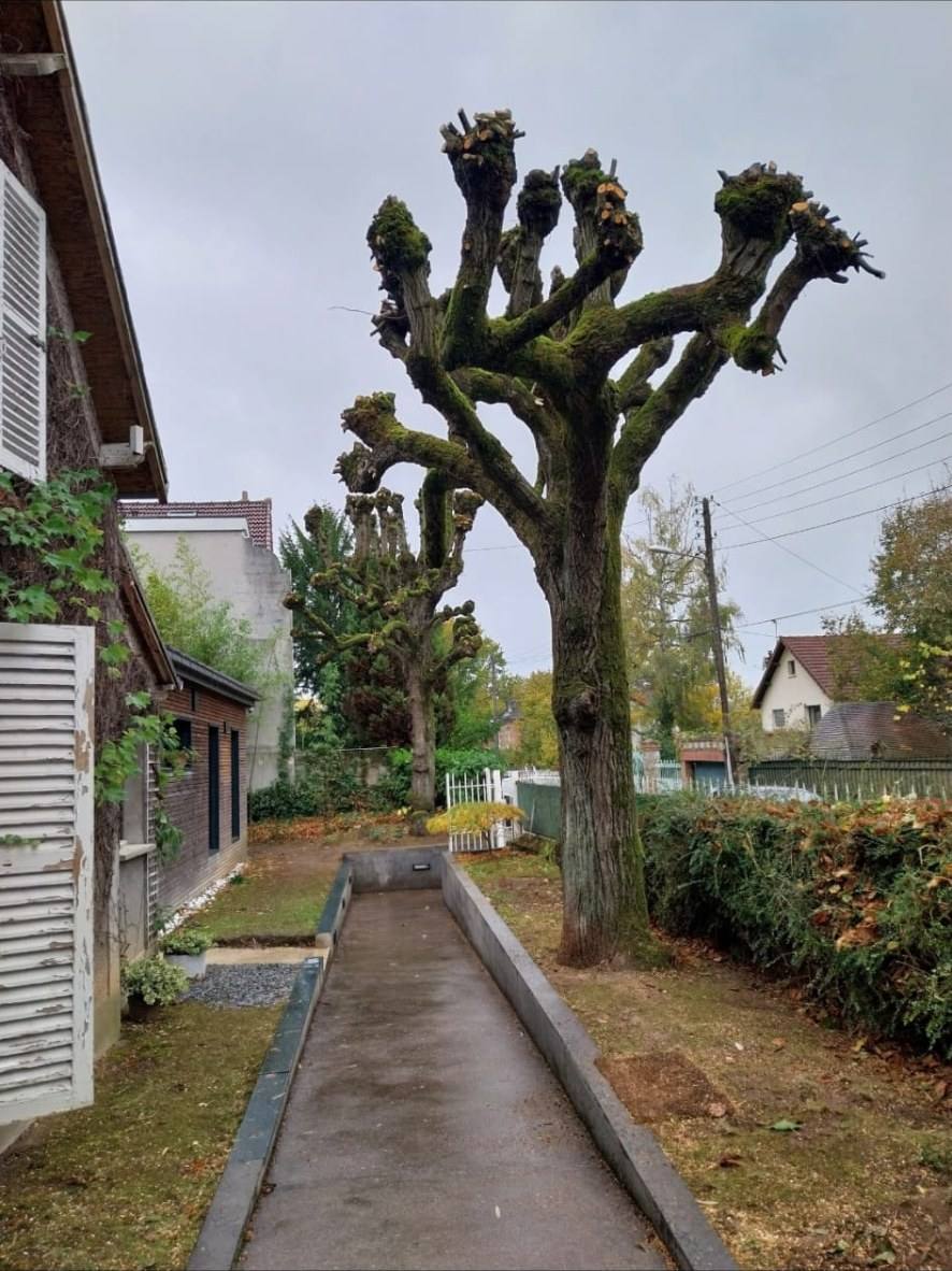 Réalisation : Chantier nettoyé après intervention